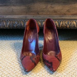 Sergio Rossi python pumps